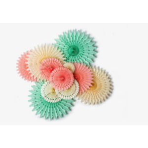 Hanging Honeycomb Paper Fans